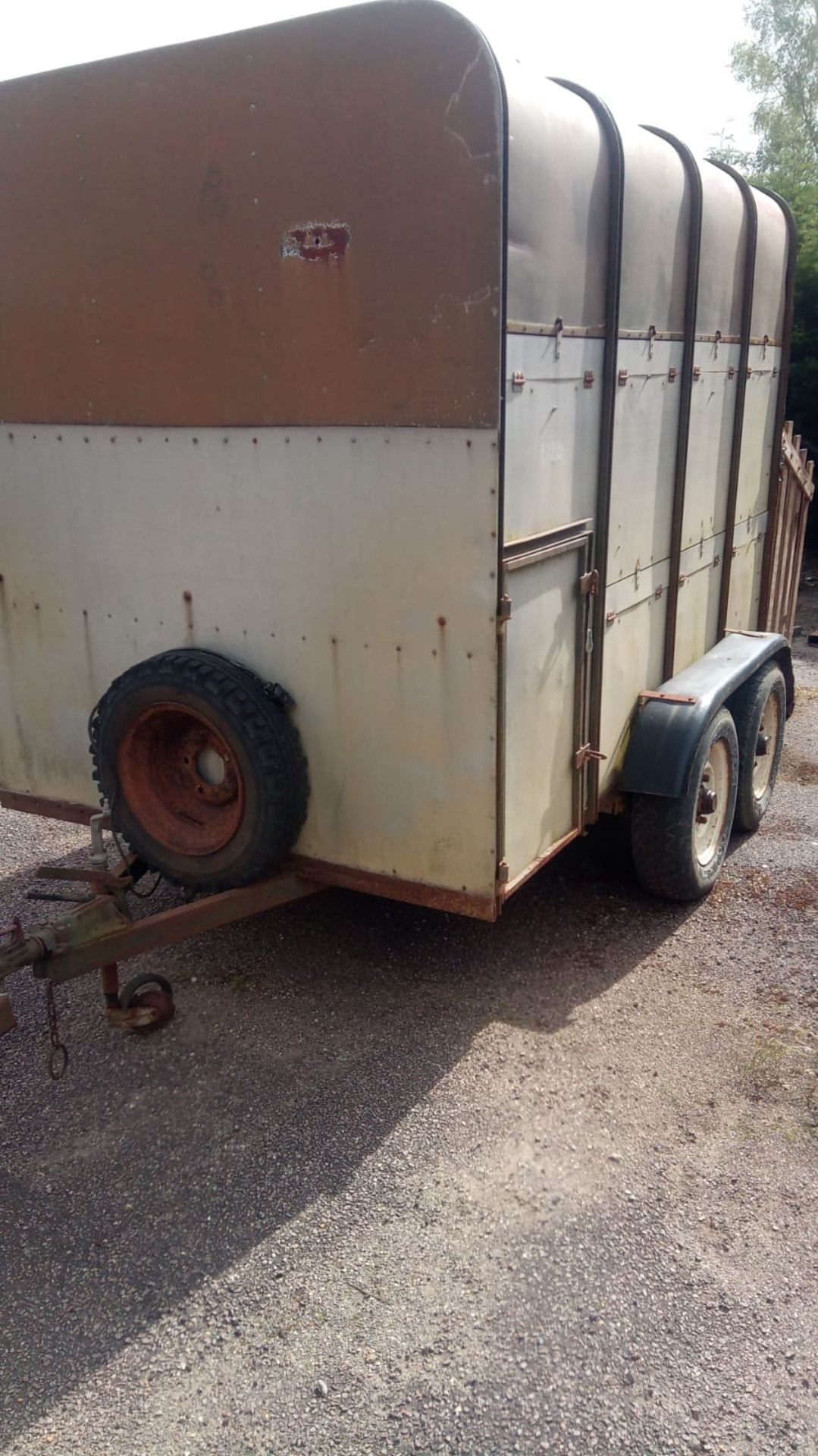 Twin axle Rice Livestock trailer