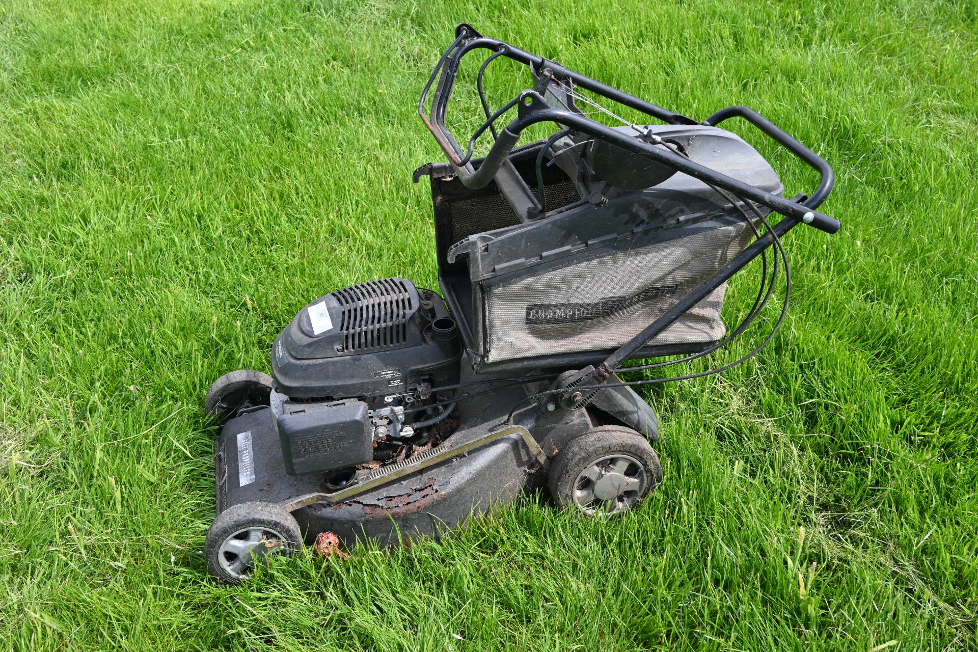 rotary lawn mower