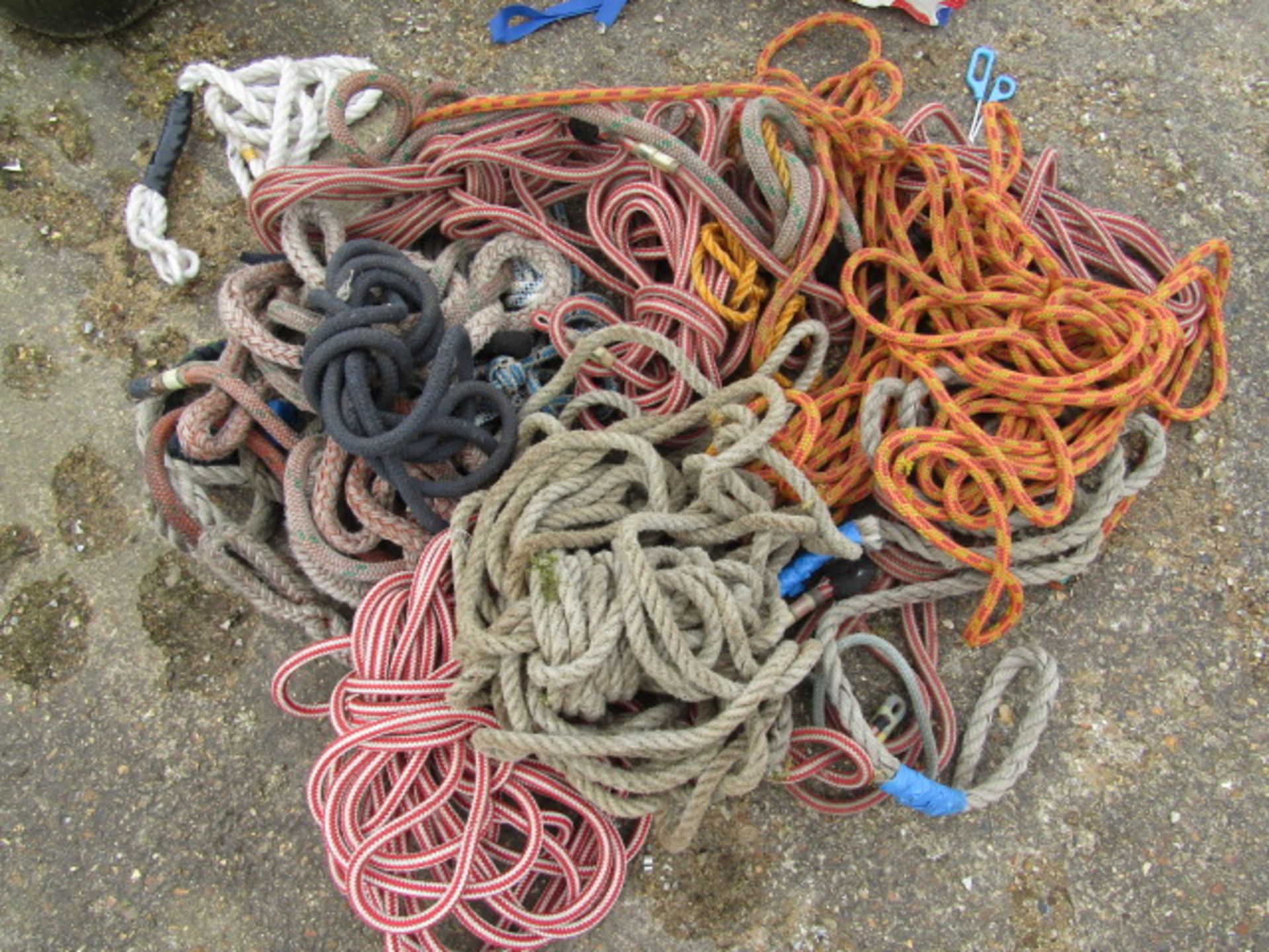 A quantity of Lunging ropes