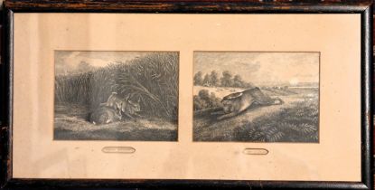 Framed and mounted etchings study of the Hare, "Hare Feeding" and "Hare Running"