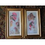 2 Julie Spriggs signed pastel Chicken studies, framed and glazed 21cm x 37cm approx