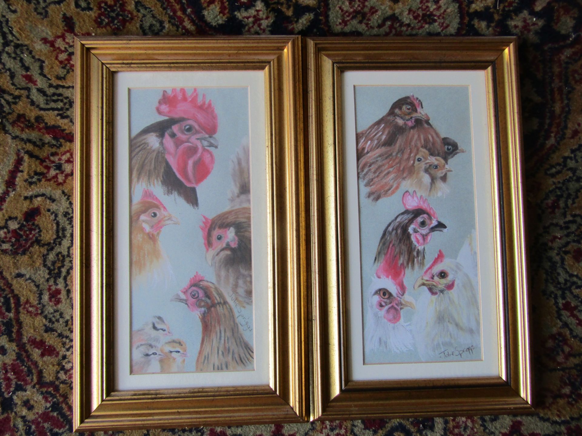 2 Julie Spriggs signed pastel Chicken studies, framed and glazed 21cm x 37cm approx