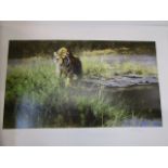 David Shepherd 'The Bandipur Tiger' ltd edition silk screen pencil signed and titled in margin 309/
