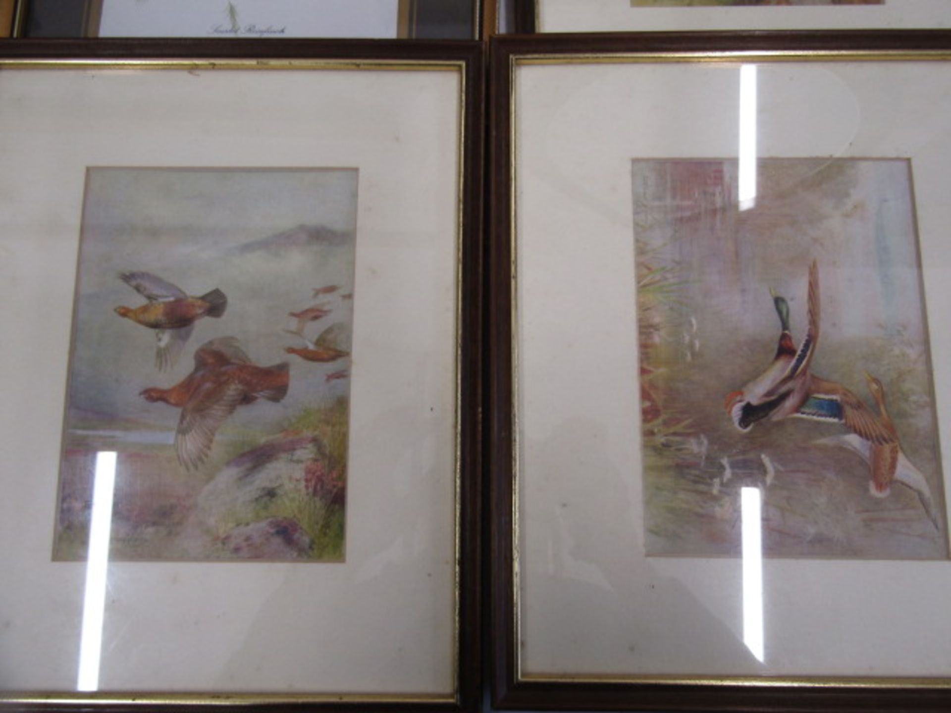 Roland Green prints of birds and 3 others of birds - Image 3 of 7