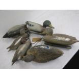 6 duck decoys plastic