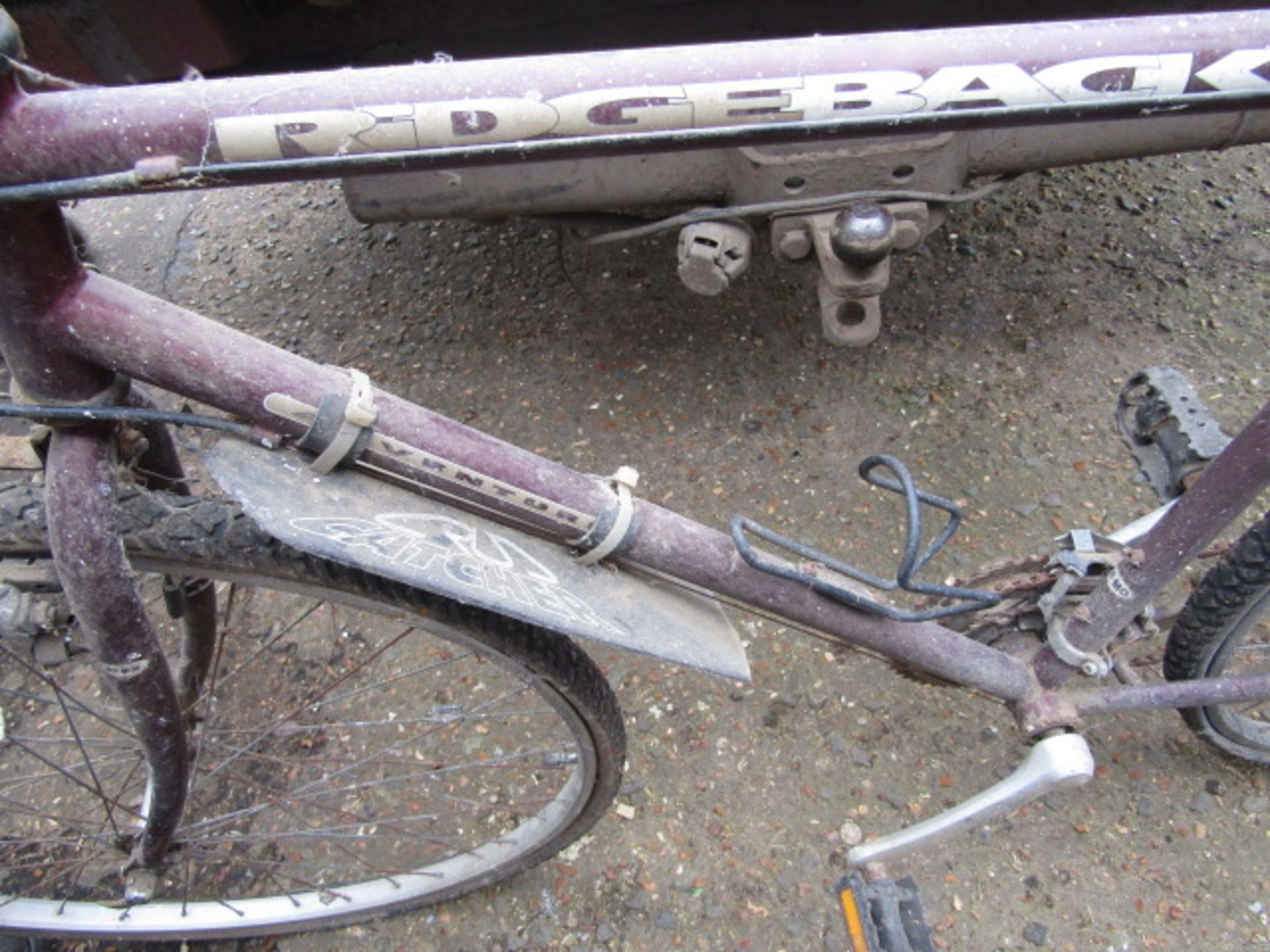 Ridgeback bike - Image 2 of 2