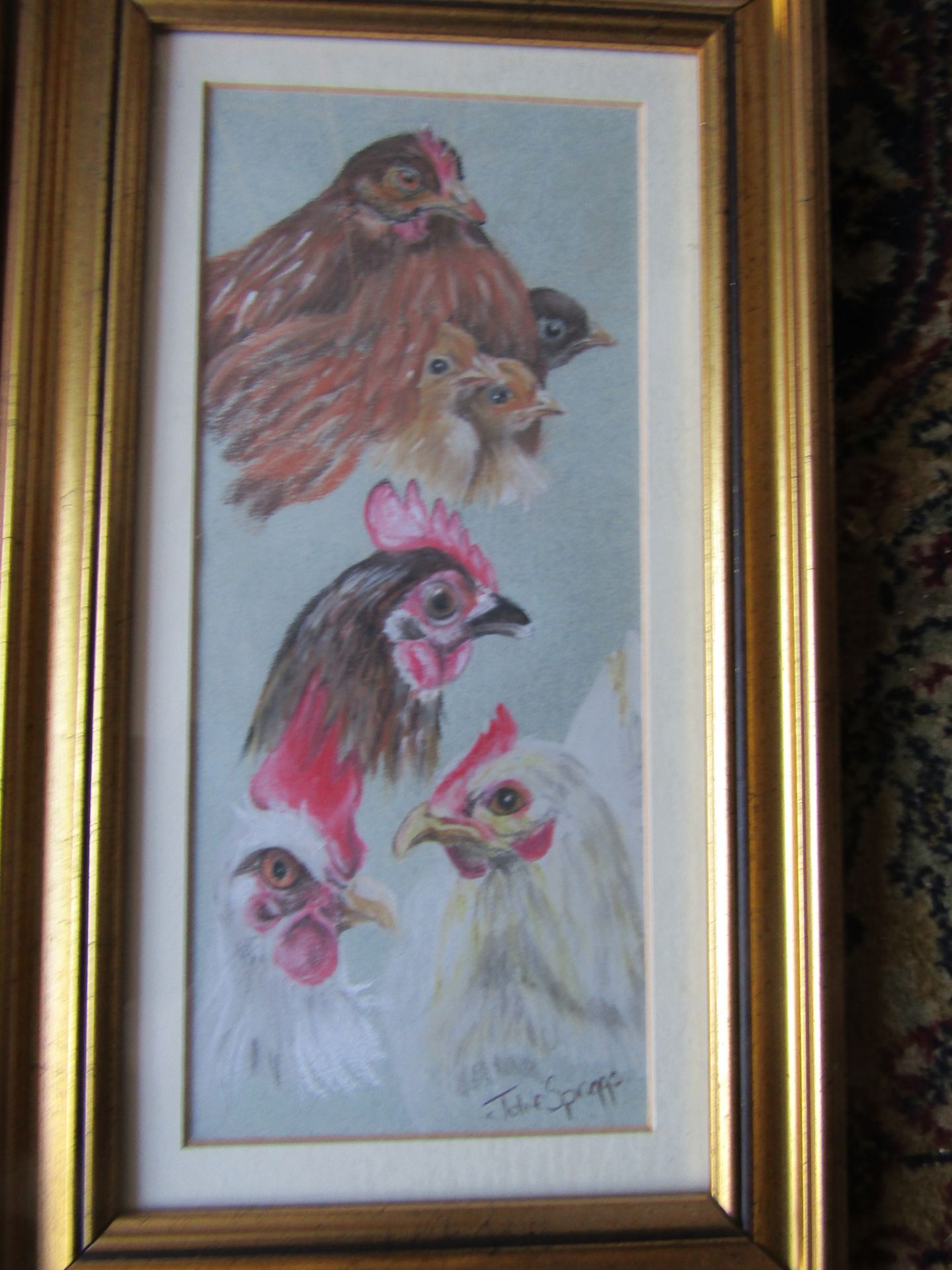 2 Julie Spriggs signed pastel Chicken studies, framed and glazed 21cm x 37cm approx - Image 4 of 4