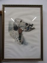 Boris Riab watercolour of English setter with Mallard 67x49cm