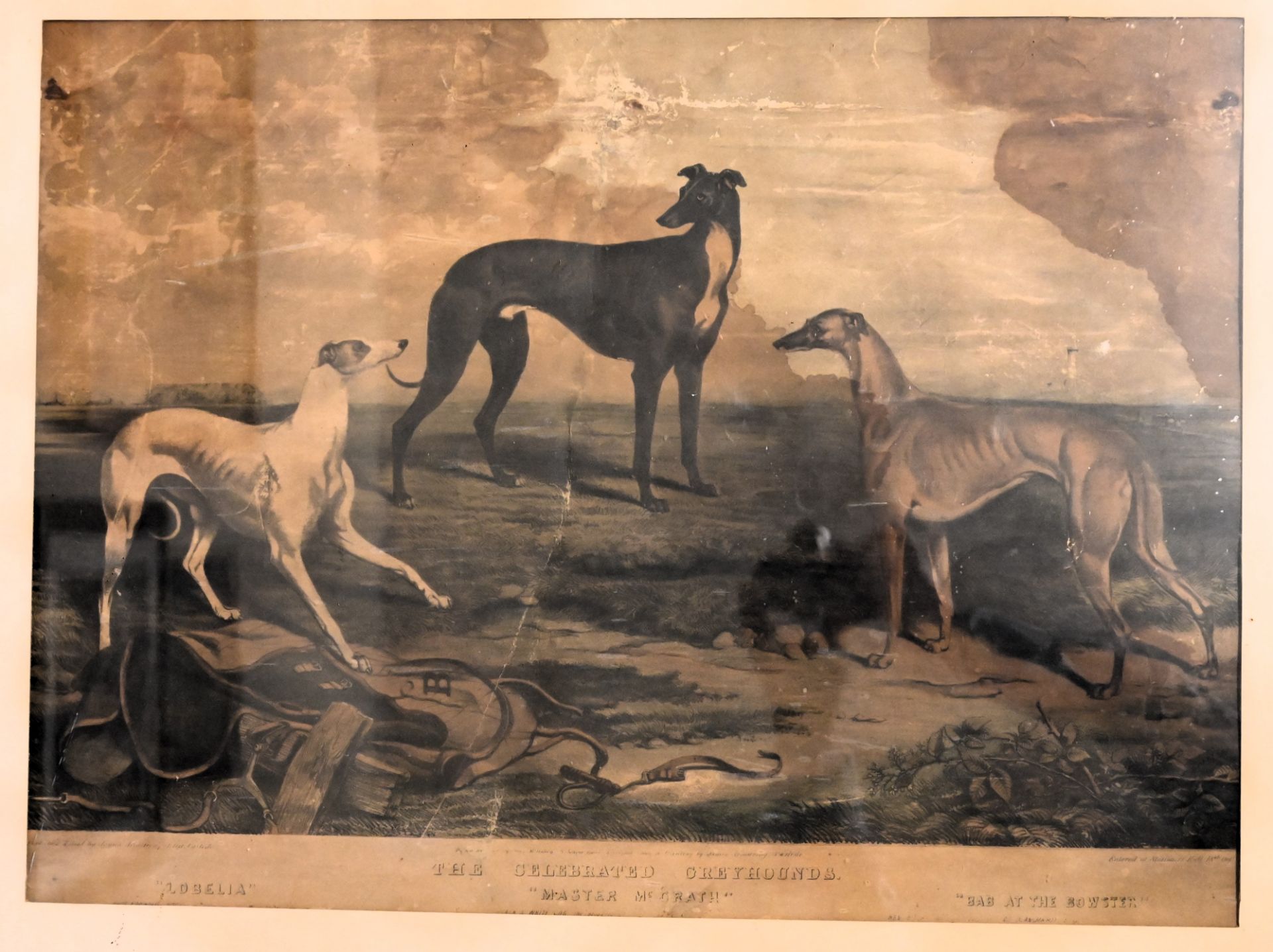 John McGahey, after James Armstrong (British, 19th Century) The Celebrated greyhounds - "Lobelia",