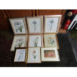 9 Framed and glazed floral prints