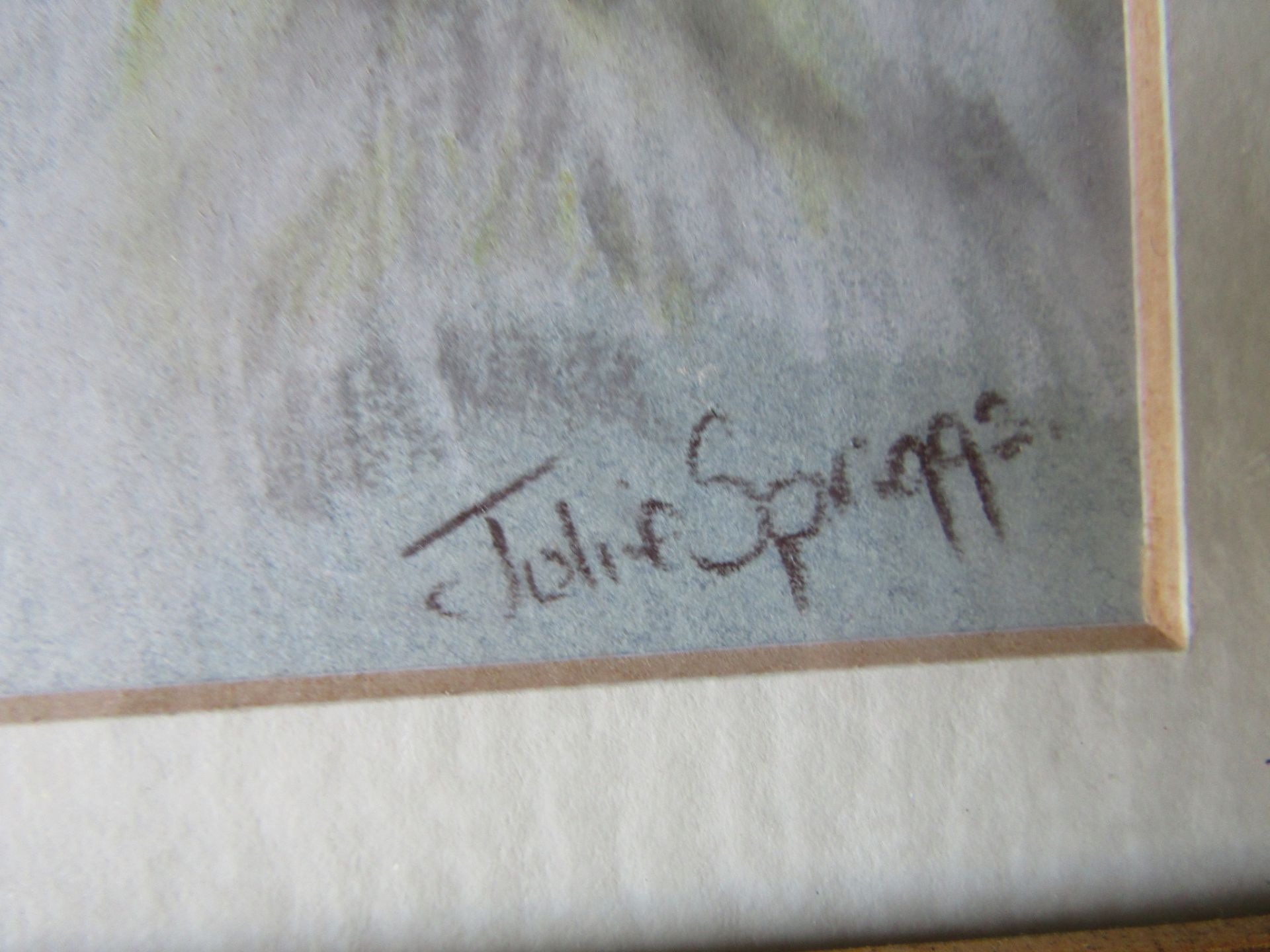 2 Julie Spriggs signed pastel Chicken studies, framed and glazed 21cm x 37cm approx - Image 2 of 4
