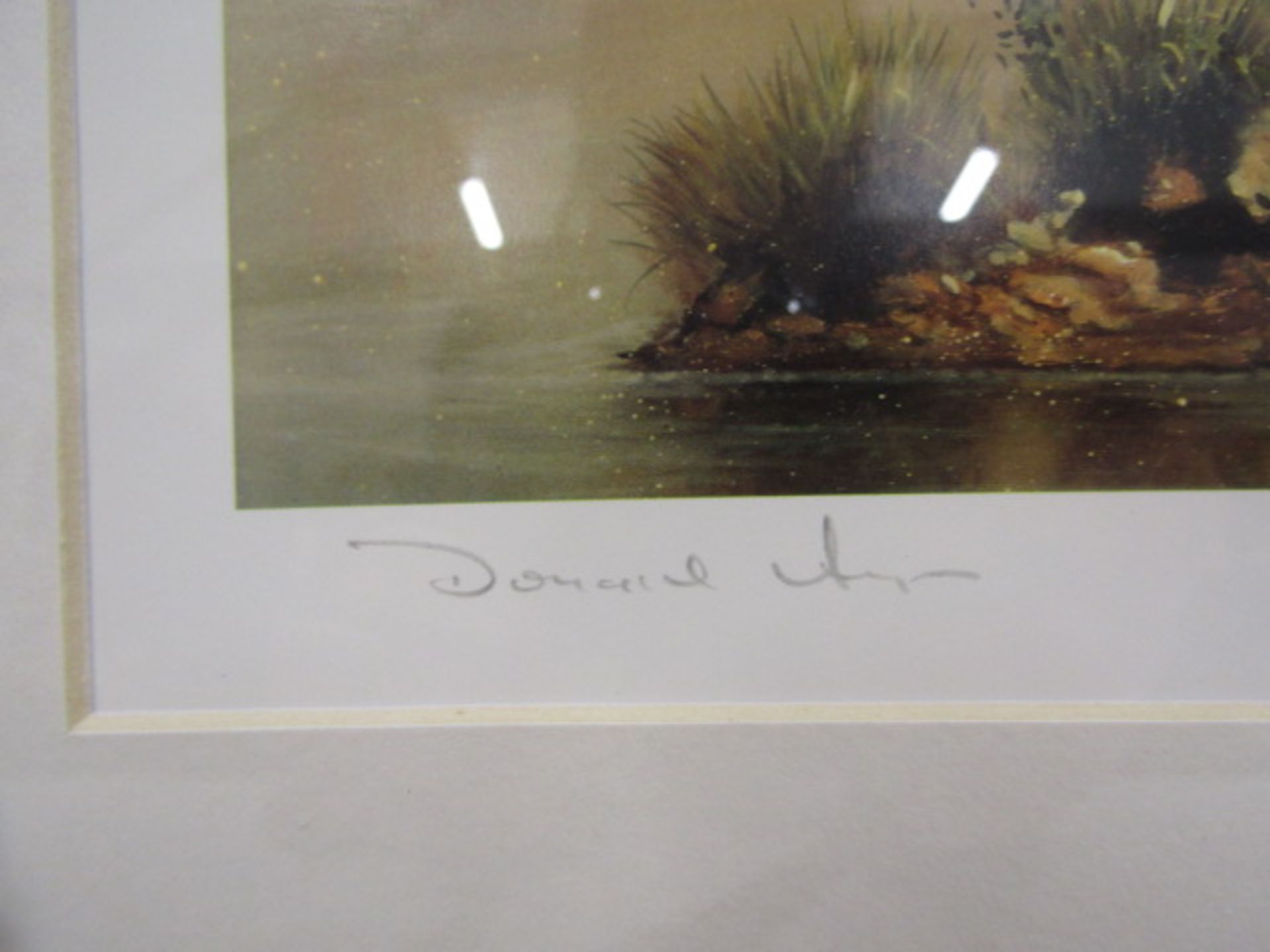 Donald Ayres lts edition prints 42x34cm - Image 7 of 7