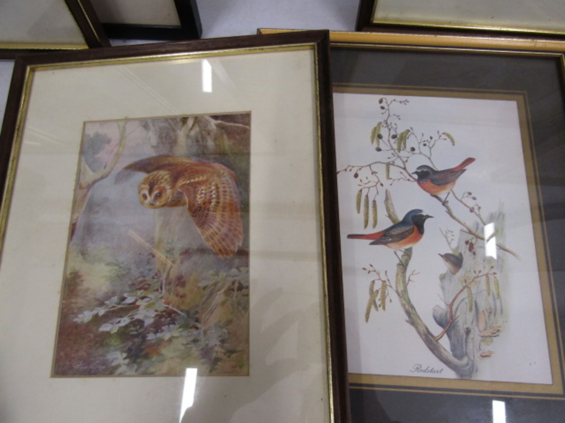 Roland Green prints of birds and 3 others of birds - Image 6 of 7