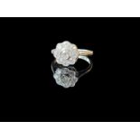 A Diamond daisy cluster ring set in platinum size O.