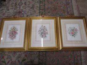 The Garden of the Roses ltd edition set prints with authenticity on verso 50x40cm