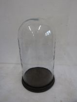 A blown vivarium glass dome with wooden base 33cmH