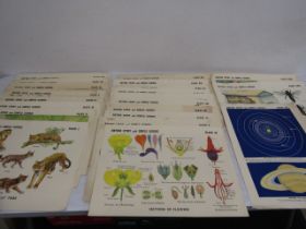 18 vintage Educational coloured plates of Nature study and simple Science by Cecil Cowell 39x52