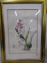 Kew Gardens Botanical print 90x63 could do with a new frame as print and mount are not flush to