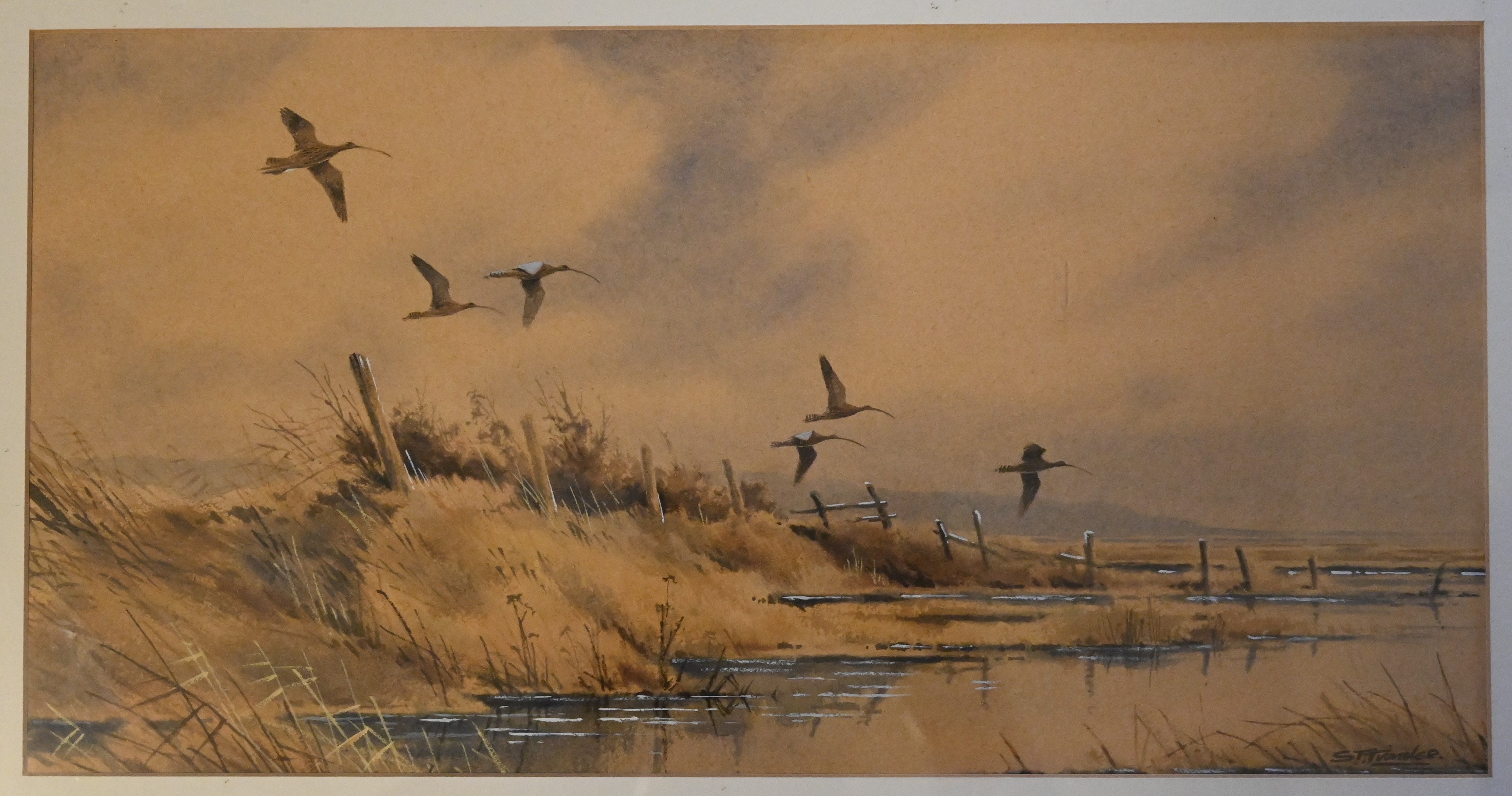 SIMON T TRINDER (BRITISH, BORN 1958), watercolour curlew/godwits in flight on the Norfolk Coast