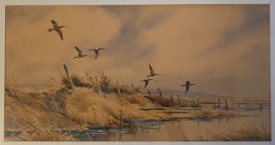 SIMON T TRINDER (BRITISH, BORN 1958), watercolour curlew/godwits in flight on the Norfolk Coast