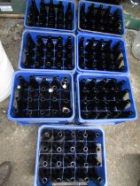6 crates brown Grolsch style brewing bottle