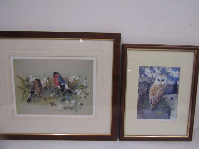 Owl and Birds ltd edition prints- David Kiristupus birds 58x50 and  James Smyth owl 34x46cm
