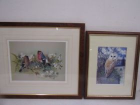 Owl and Birds ltd edition prints- David Kiristupus birds 58x50 and  James Smyth owl 34x46cm