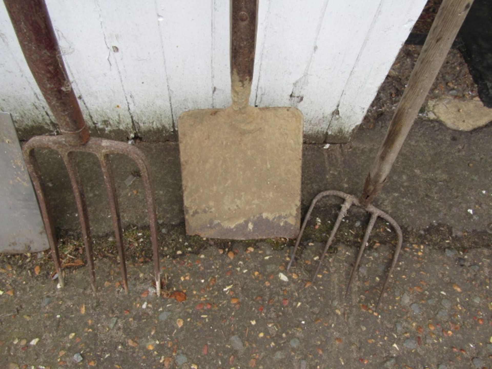 Garden tools and axe - Image 2 of 6