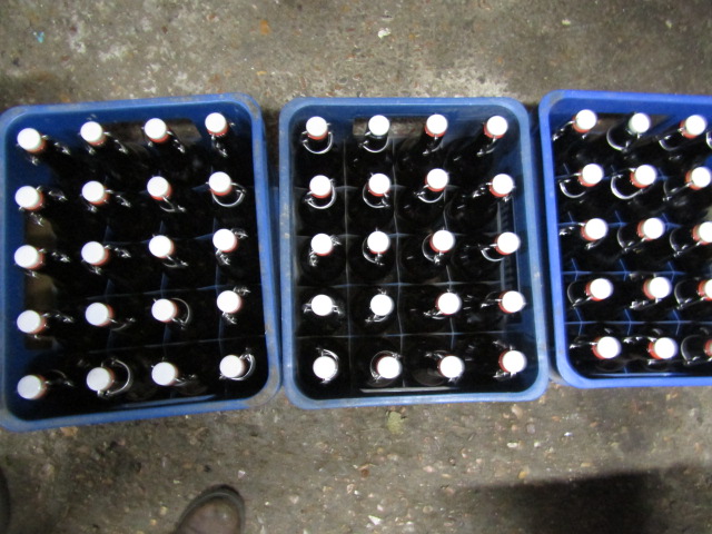 3 crates and 1 box Grolsch style brewing bottles with lids - Image 3 of 5