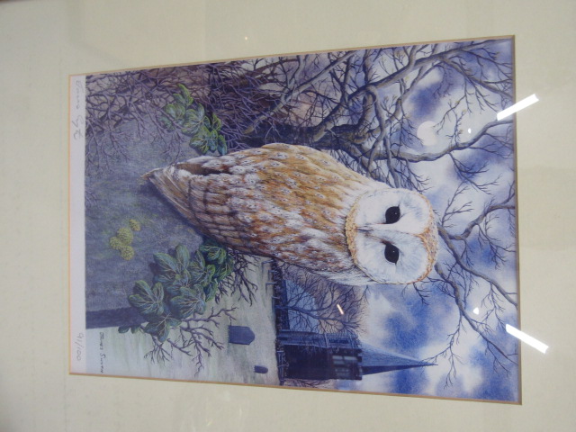 Owl and Birds ltd edition prints- David Kiristupus birds 58x50 and  James Smyth owl 34x46cm - Image 8 of 11
