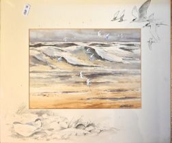 SIMON T TRINDER (BRITISH, BORN 1958), water colour study of Terns in flight on the Norfolk coast