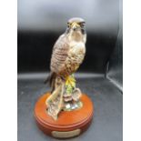 Royal Doulton Peregrine Falcon on wooden plinth 28cmH