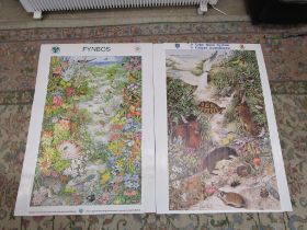 4 South African wildflower posters 64cm x 100cm approx