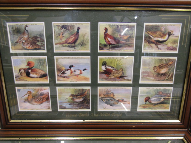 framed cigarette cards of wild fowl inc Peter Scott - Image 2 of 7