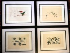 Piere Jean Francois Turpin botanical framed prints