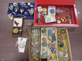 Brooch collection