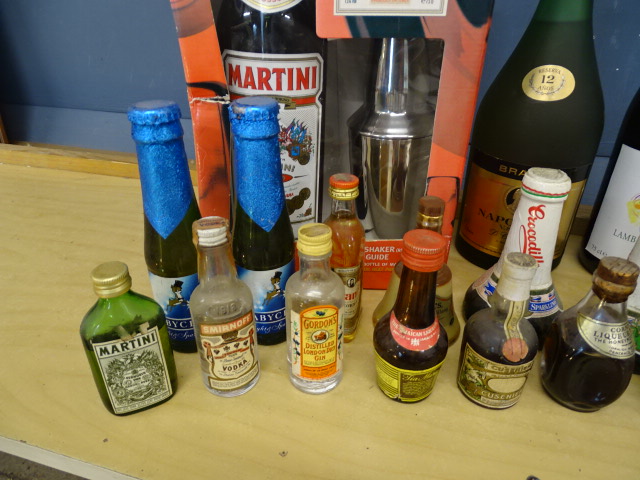 Mixed alcohol lot to include Martini with shaker, brandy, wine and miniatures etc - Image 2 of 7