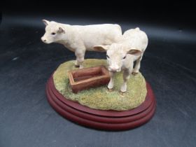 Border Fine Arts 'Charolais calves' figure