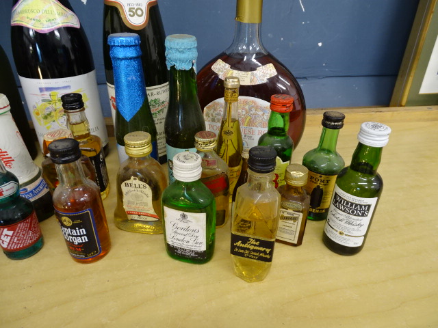 Mixed alcohol lot to include Martini with shaker, brandy, wine and miniatures etc - Image 4 of 7