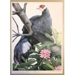 Terence Lambert limited lithographic print study of a blue eared pheasant, signed in pencil