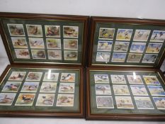 framed cigarette cards of wild fowl inc Peter Scott