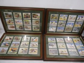 framed cigarette cards of wild fowl inc Peter Scott