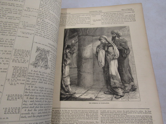An illustrated family bible Cassel, Petter & Galpin - Image 11 of 14
