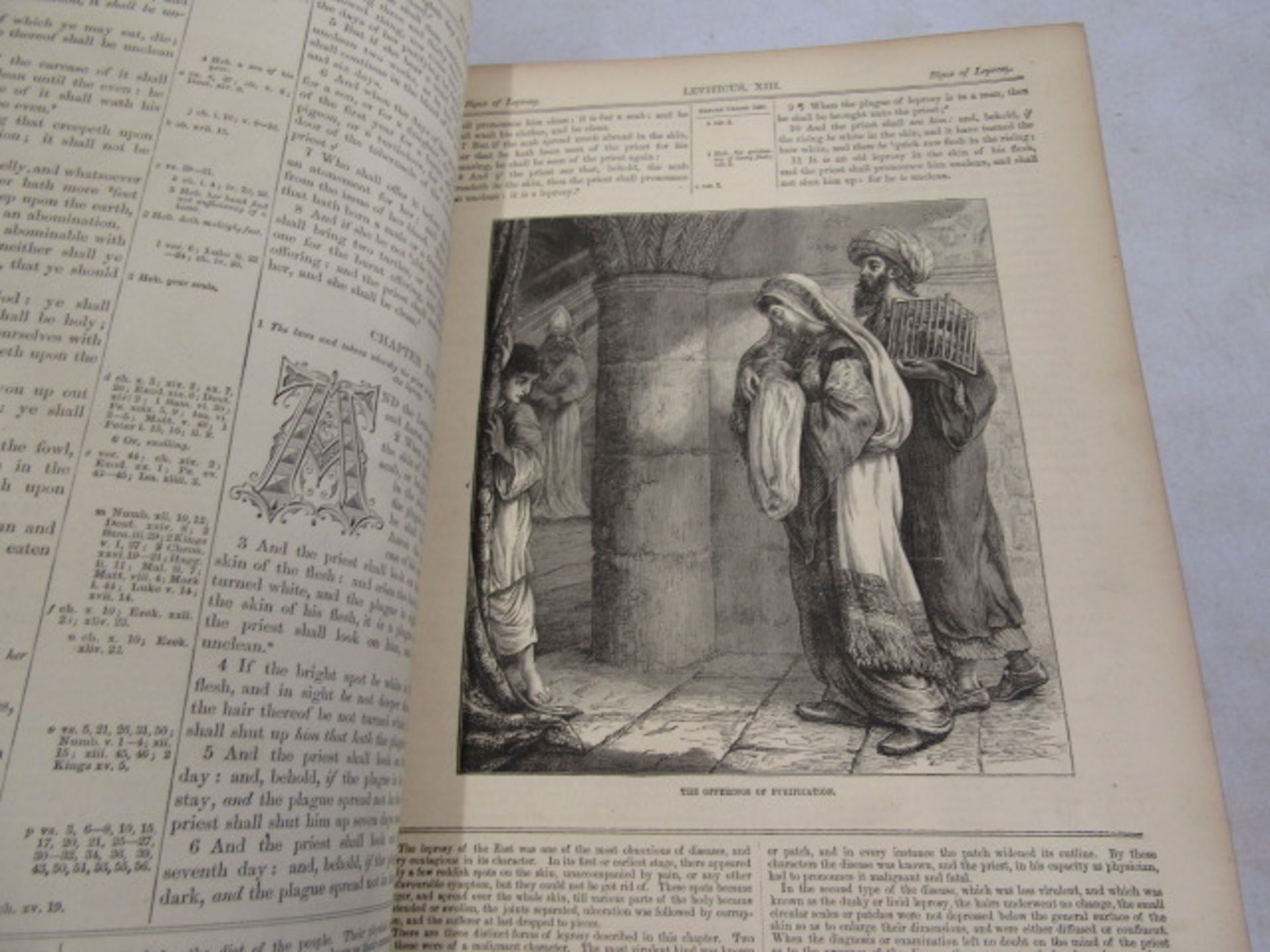 An illustrated family bible Cassel, Petter & Galpin - Image 11 of 14