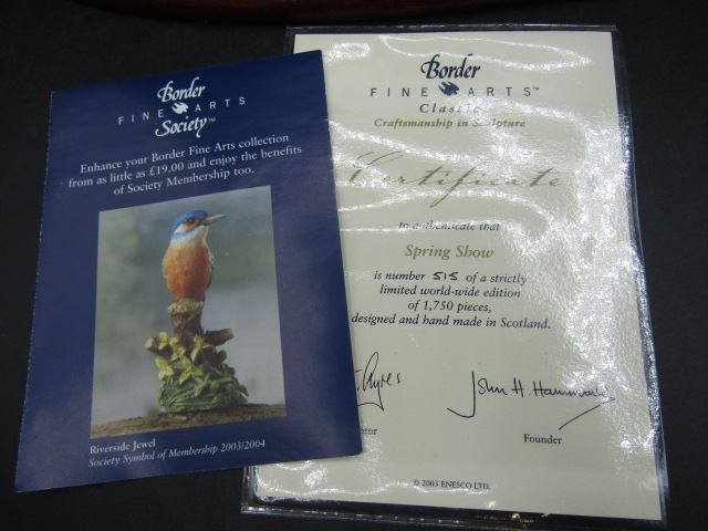 Border Fine Arts 'Spring Show' ltd edition figure with certs - Image 4 of 4