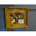 Ornate gilt framed wall mirror