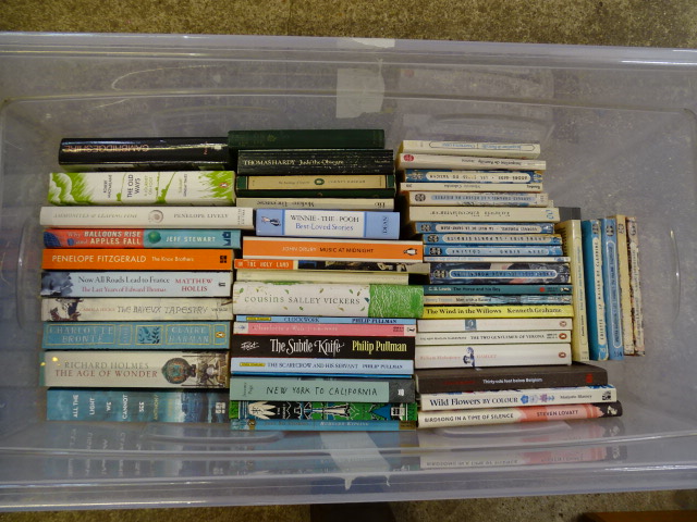 Large tub full of books, mostly novels - Image 3 of 4