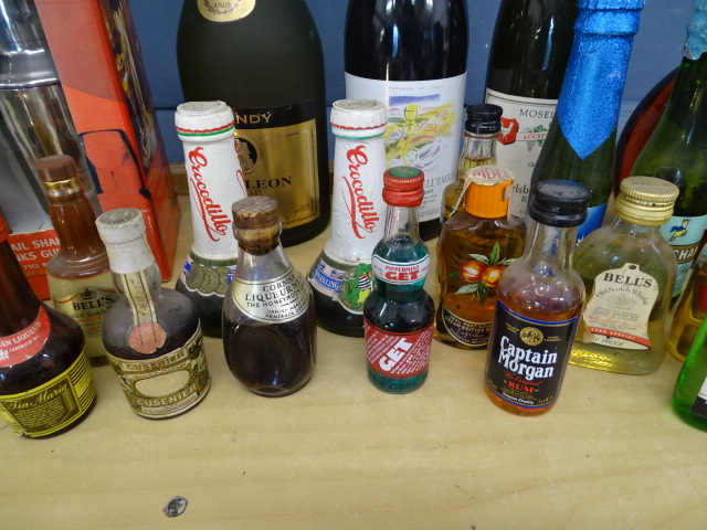 Mixed alcohol lot to include Martini with shaker, brandy, wine and miniatures etc - Image 3 of 7