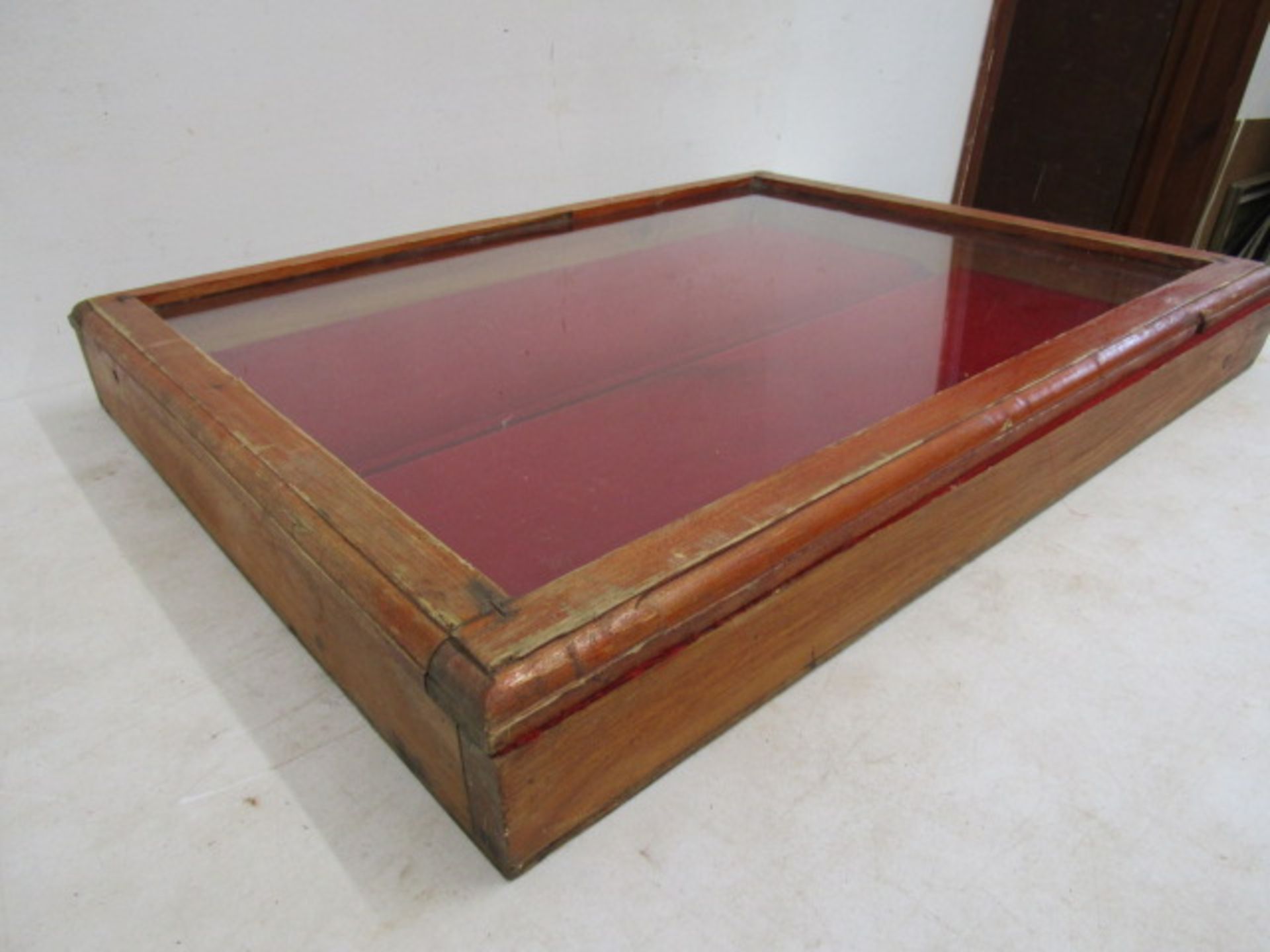 A display case 47x60cm - Image 2 of 3