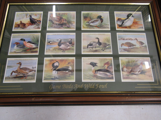 framed cigarette cards of wild fowl inc Peter Scott - Image 3 of 7